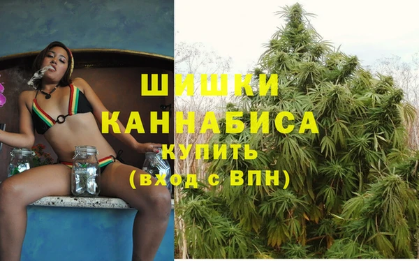 винт Осташков