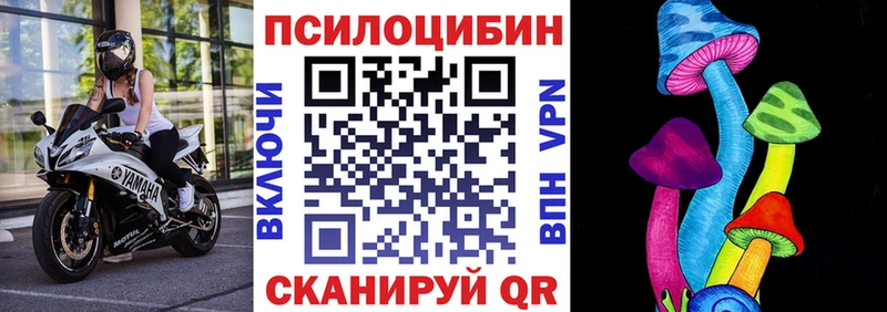 Псилоцибиновые грибы Psilocybine cubensis  магазин    Старый Крым 